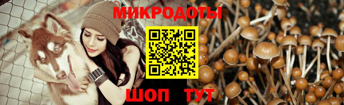 Псилоцибиновые грибы Psilocybe  Вход с VPN  Псилоцибиновые грибы Magic Shrooms  Калуга 